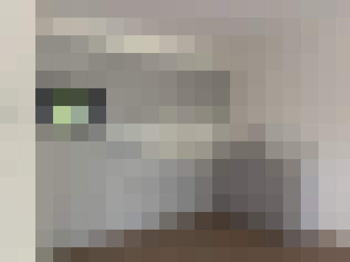  / #11