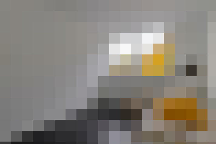  / #13