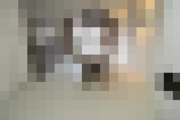  / #14