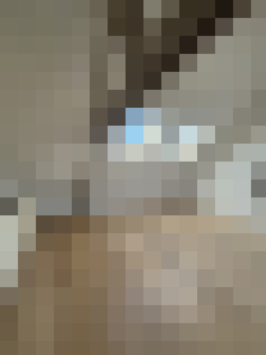  / #24