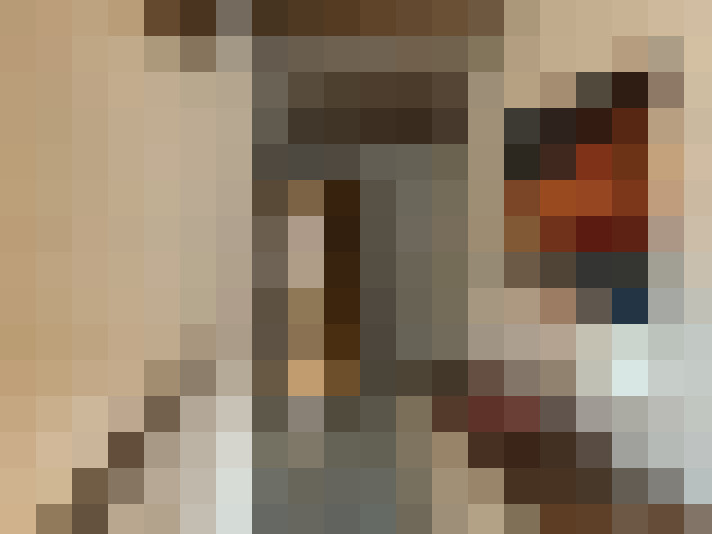  / #15