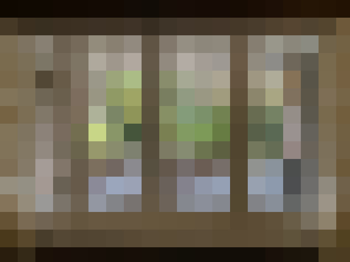  / #6