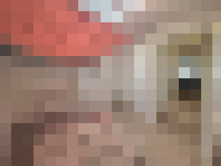  / #17