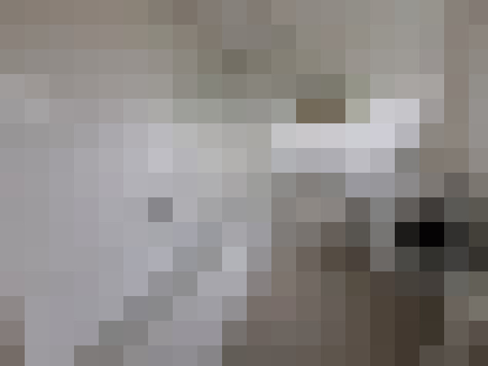  / #8