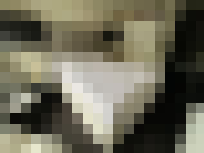  / #7