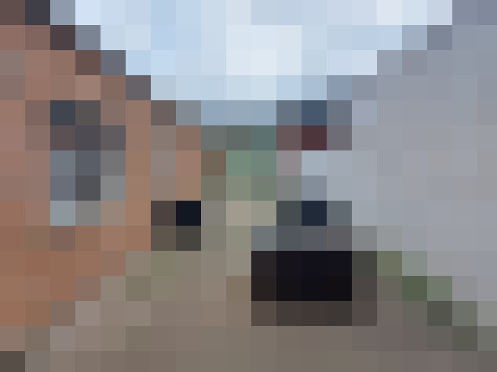  / #16