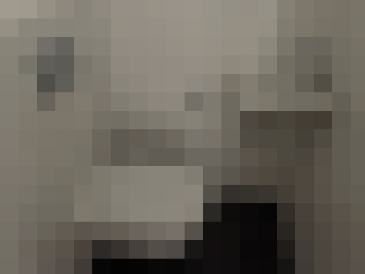  / #18