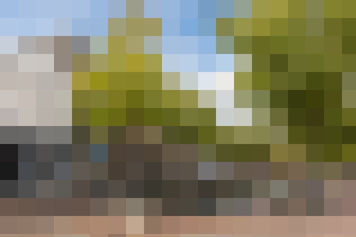  / #20
