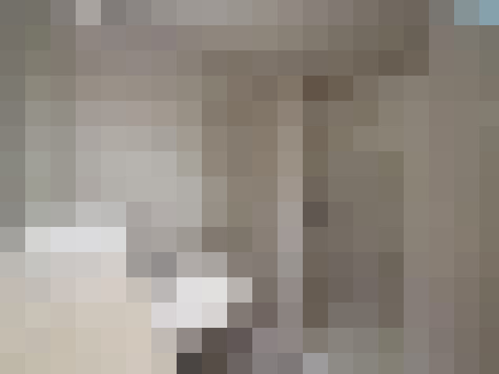  / #20