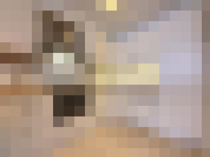  / #15
