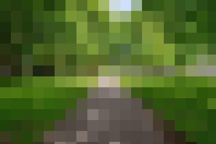  / #6