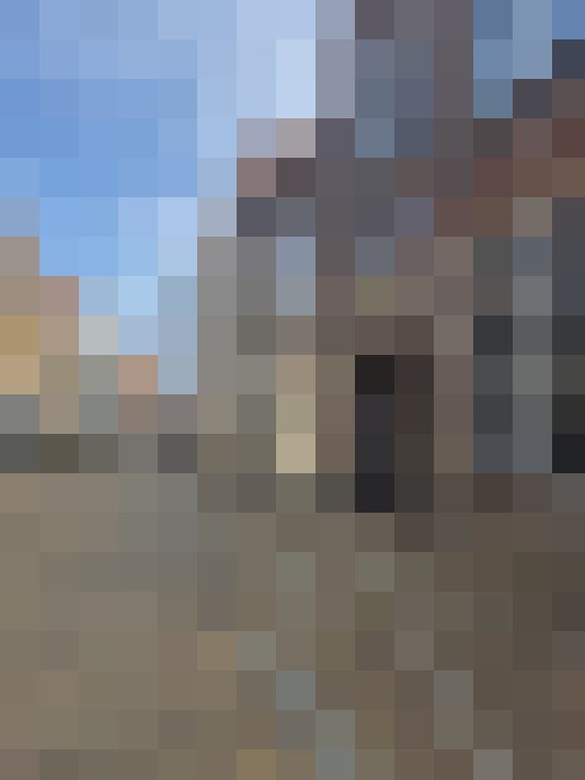  / #16