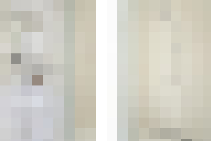  / #19