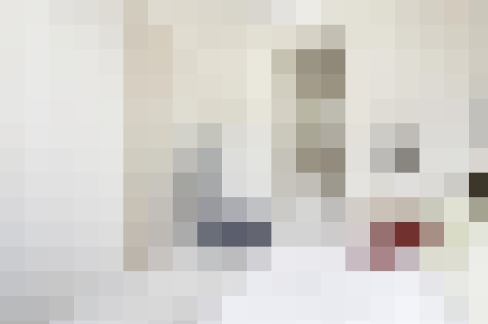  / #17