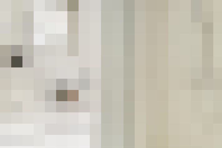  / #23