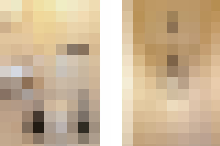  / #16