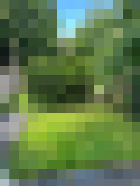  / #17