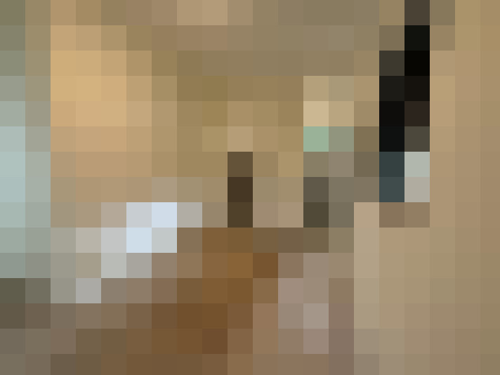  / #8