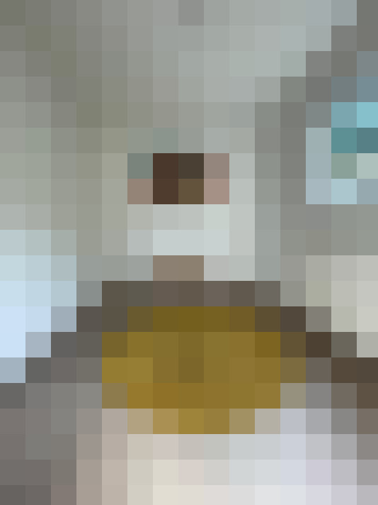  / #15