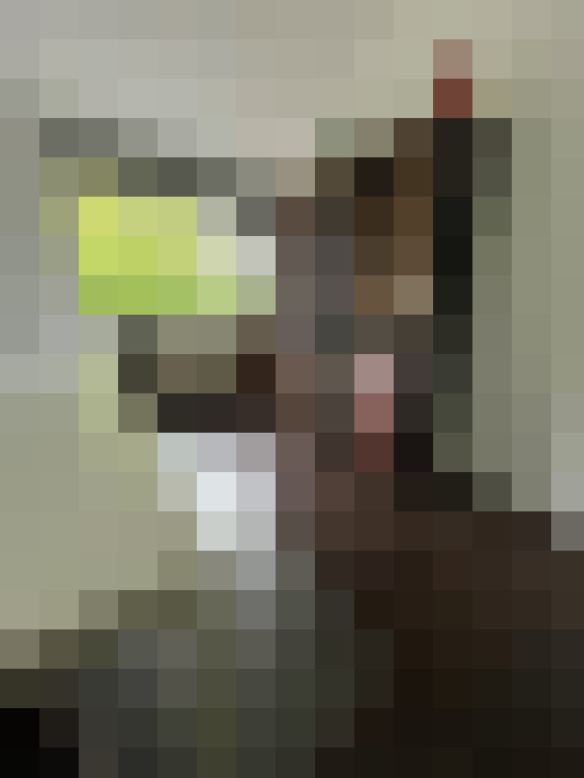  / #14
