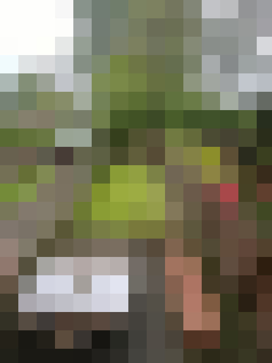  / #17