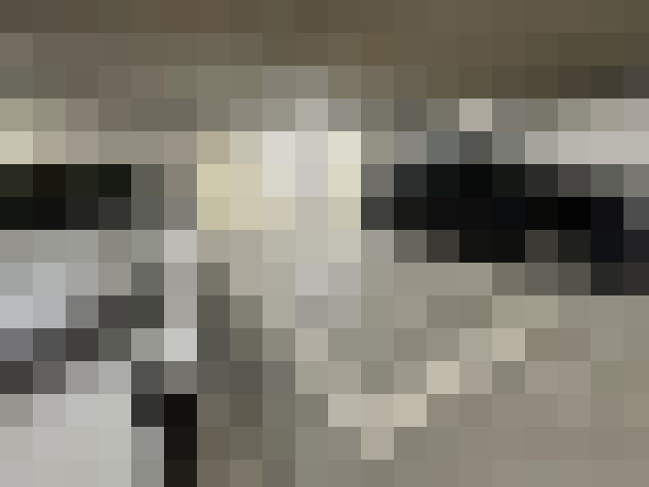  / #23