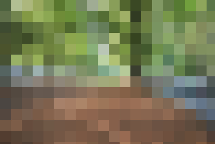  / #16
