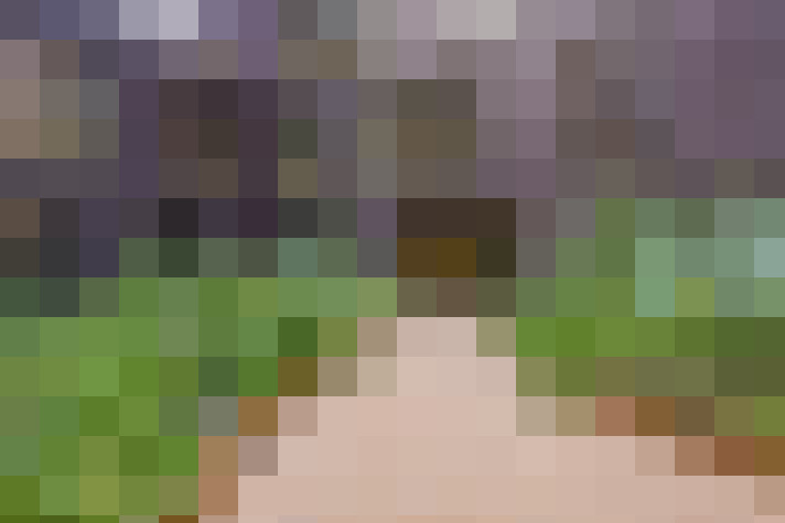  / #19