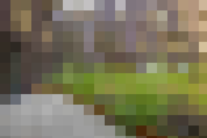  / #18