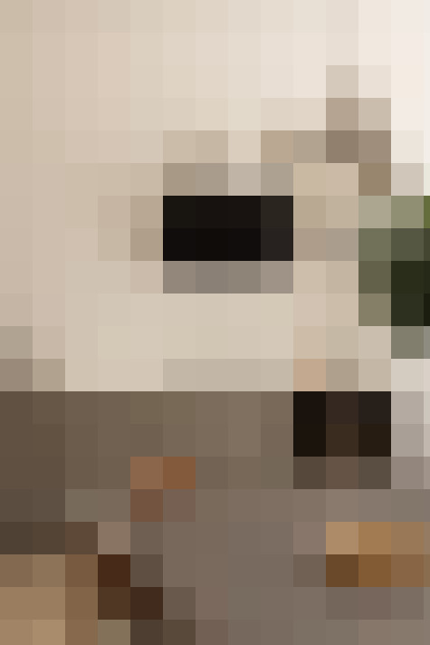  / #20