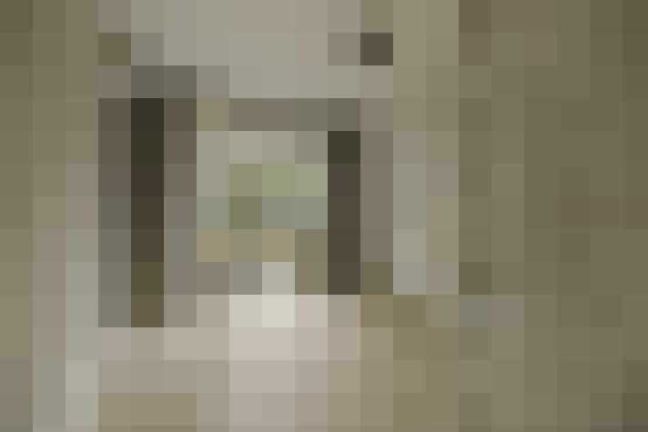  / #21