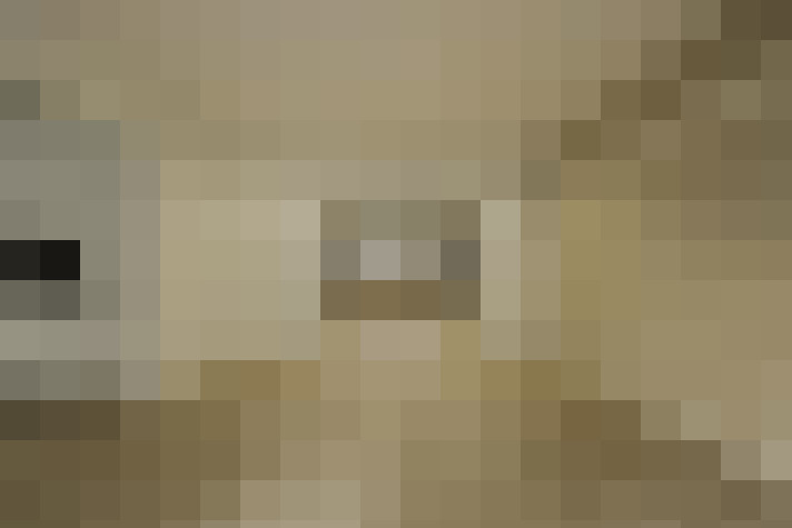  / #16