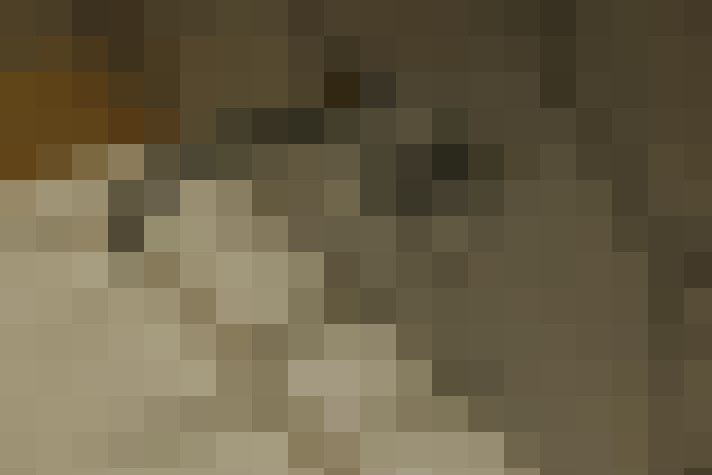  / #20