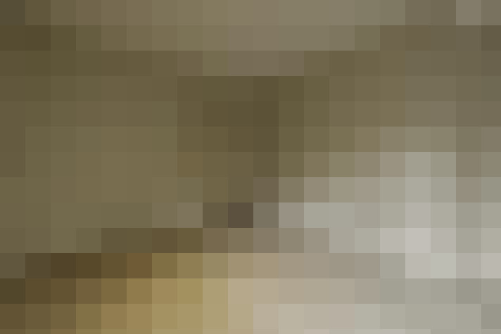  / #23
