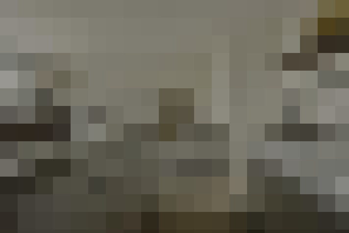  / #14