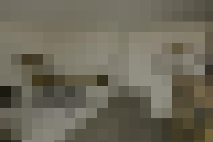  / #13
