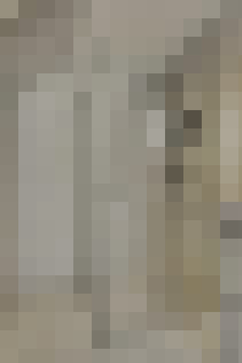  / #24