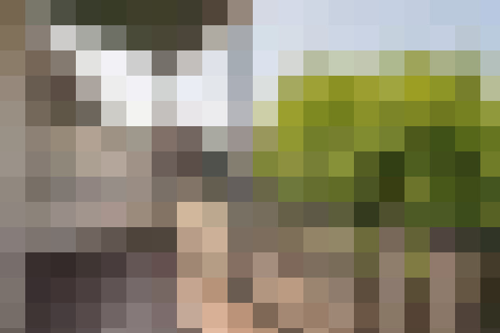  / #18
