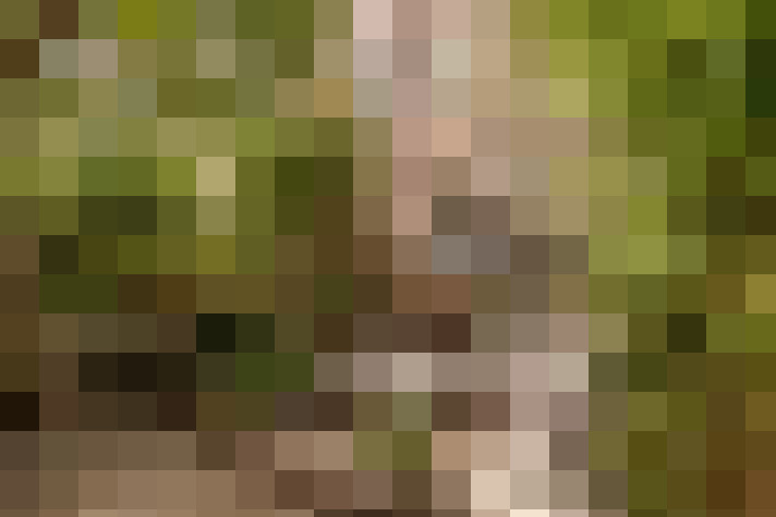  / #12