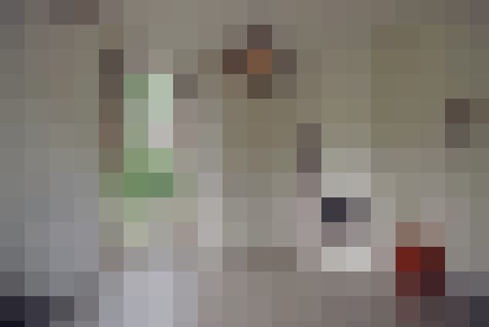  / #24