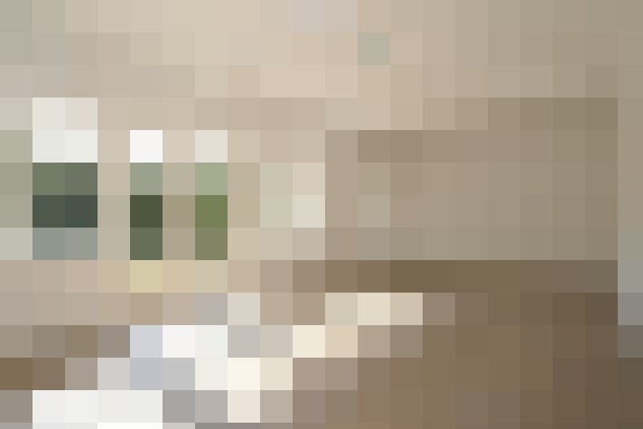  / #9