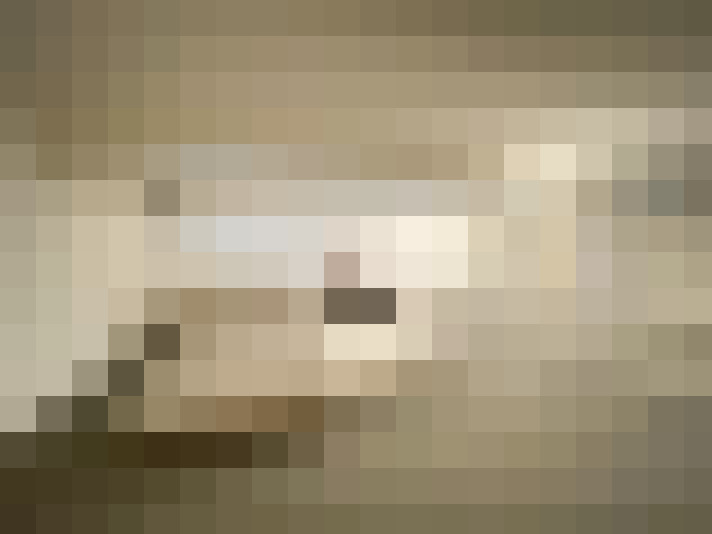  / #15