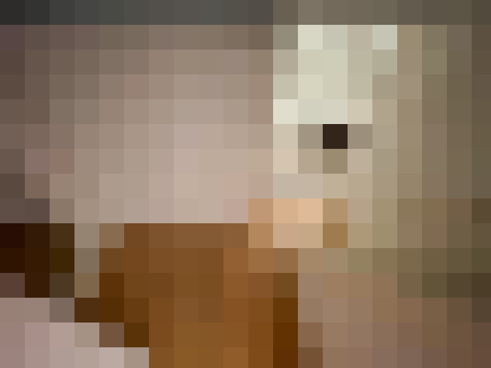  / #14