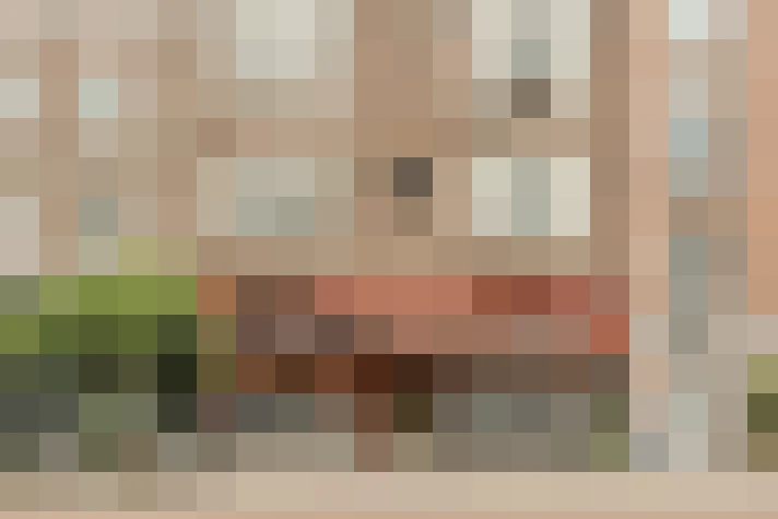  / #19