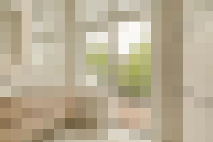  / #16