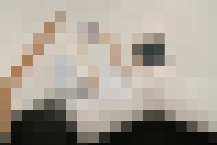  / #13