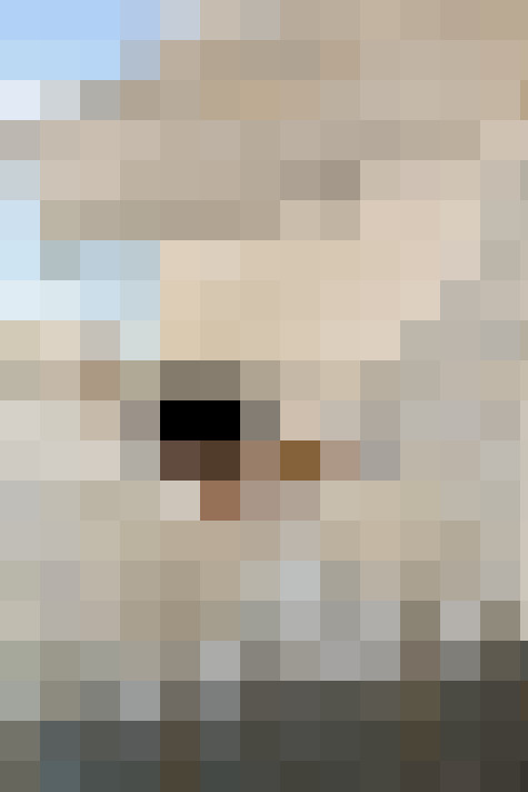  / #9