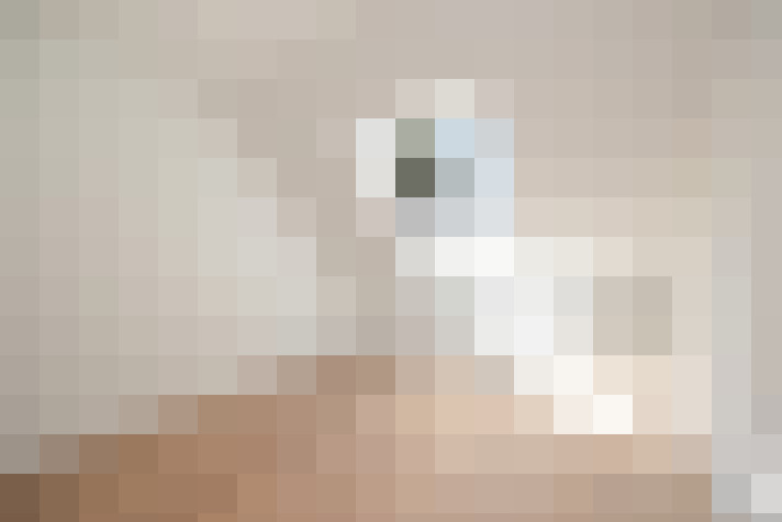  / #11