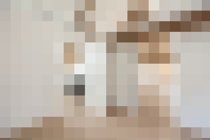  / #19
