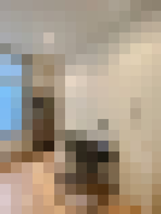  / #14